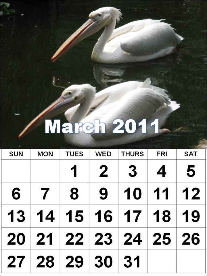 calendar template for word. house Calendar Templates 2011