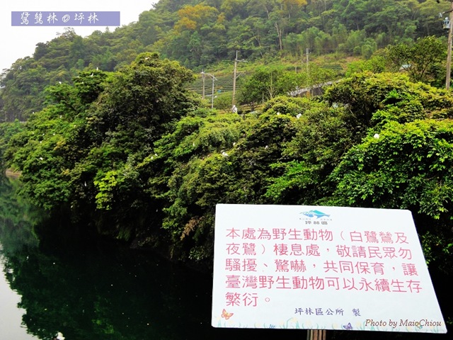 DSC04098