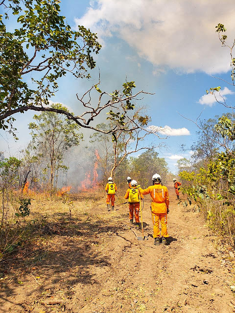 Guarnições do 17º GBM atuam para controlar incêndio florestal em Baianópolis*
