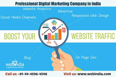 Professional Digital Marketing Company in India