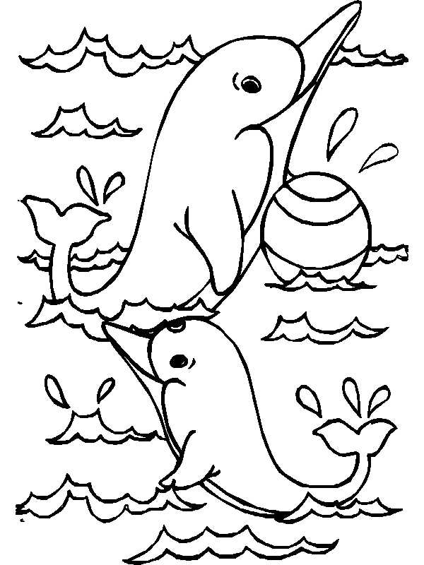 animal coloring pages