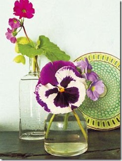 Tricia Guild Elle Decoration