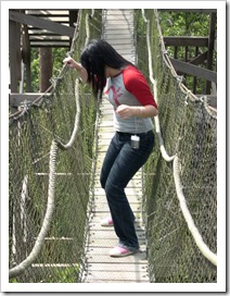 BUKIT BANGKIRAIBER2