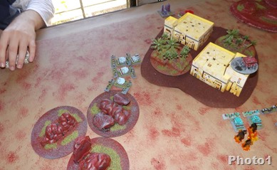 DSCF7569