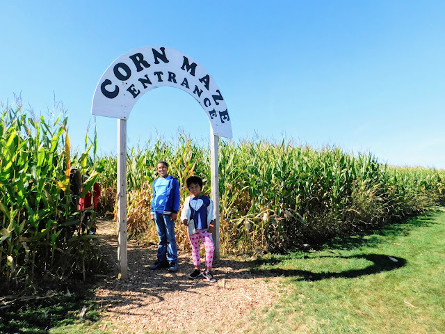 Patterson's Farm Corn Maze