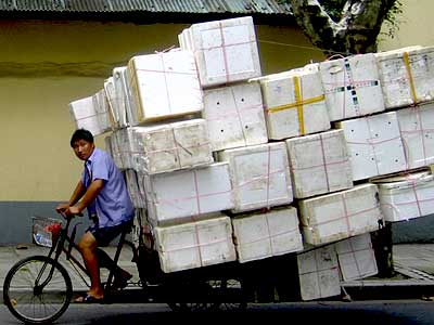  Company Freight Shipping on Transportation   Bali Cargo Shipping