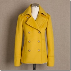 coat