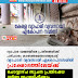 വ്യാ​പാ​ര മേ​ഖ​ല​യി​ലെ പ്ര​ശ്‌​ന​ങ്ങ​ള്‍​ക്ക്‌ പ​രി​ഹാ​രം കാ​ണ​ണ​മെ​ന്നാ​വ​ശ്യ​പ്പെ​ട്ട് വ്യാ​പാ​രി വ്യ​വ​സാ​യി ഏ​കോ​പ​ന​സ​മി​തി പ്ര​ക്ഷോ​ഭ​ത്തി​ലേ​യ്ക്ക്