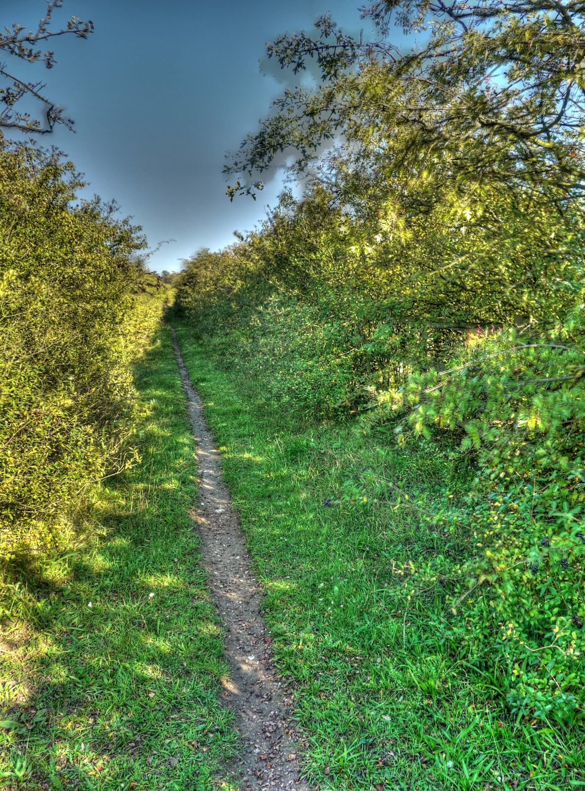 P1190446_47_48_49_50_51_52_tonemapped.jpg