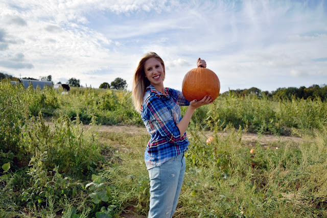 pumpkin farm