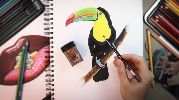The Ultimate Photorealistic Drawing Course Udemy Coupon
