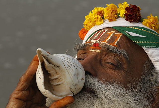 Image result for conch shell hinduism