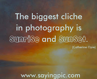 Photography_Quotes1