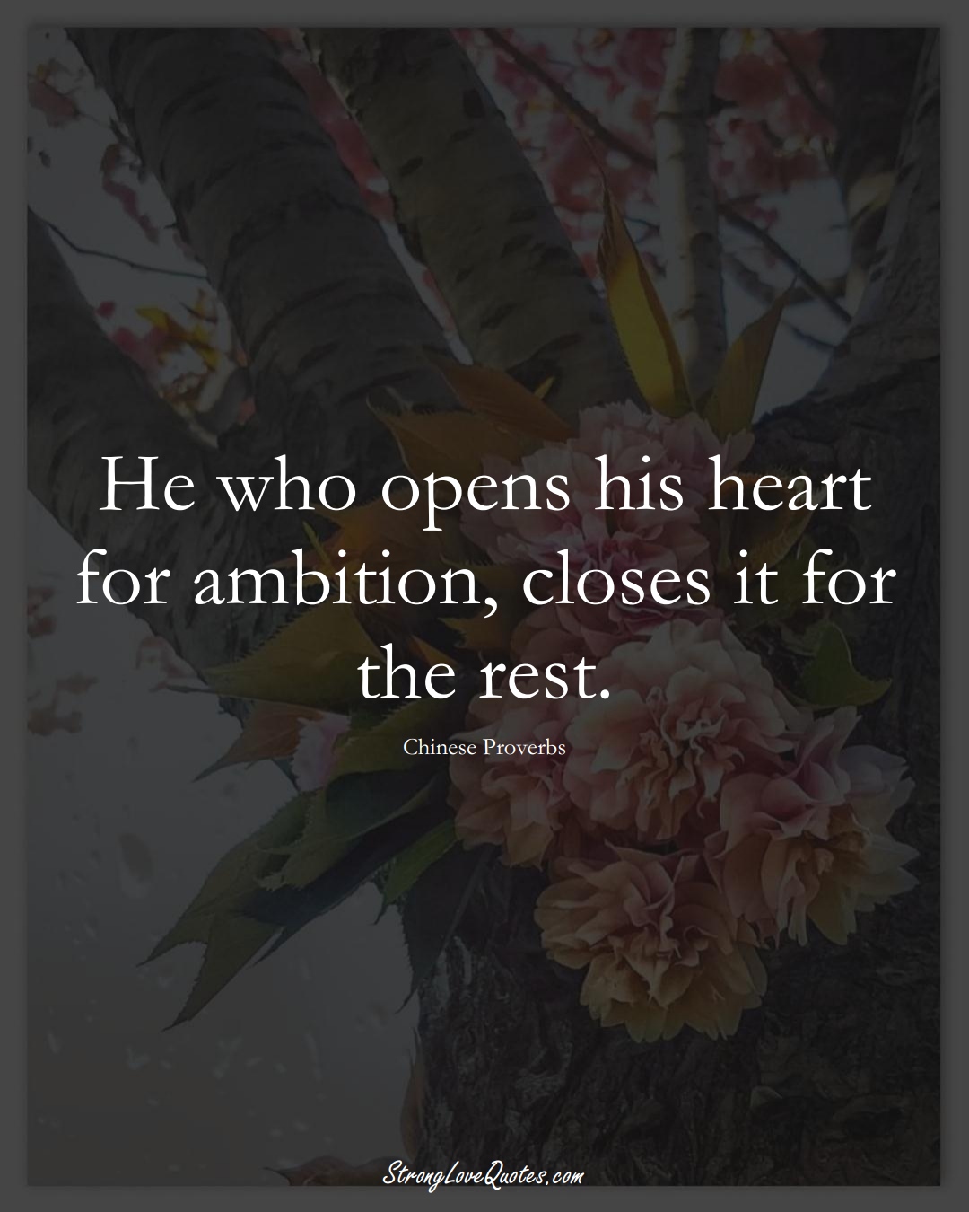 He who opens his heart for ambition, closes it for the rest. (Chinese Sayings);  #AsianSayings