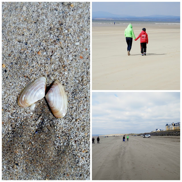 Rossnowlagh April 2013