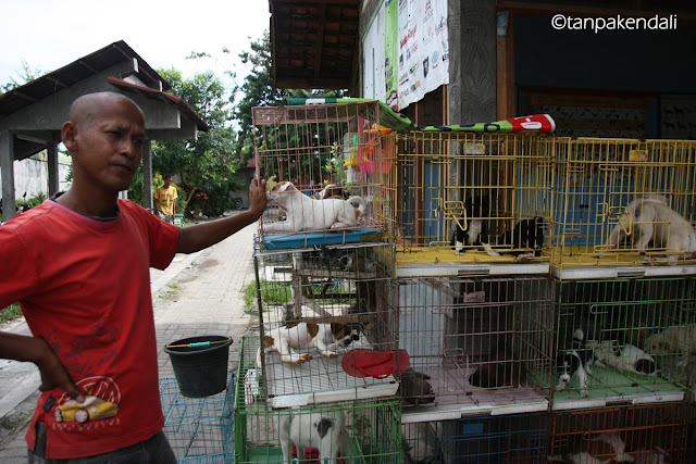 Pasar Satwa dan Tanaman Hias Yogyakarta, PASTY