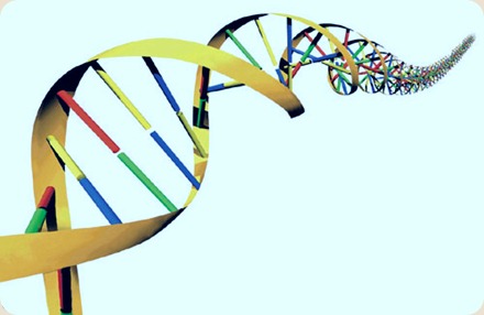 dna_500