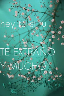 Imagenes lindas con frases de amor