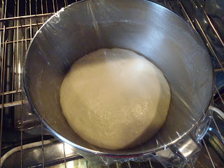 Risen Bread Dough