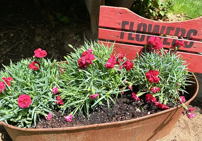 tub with flowers and sign