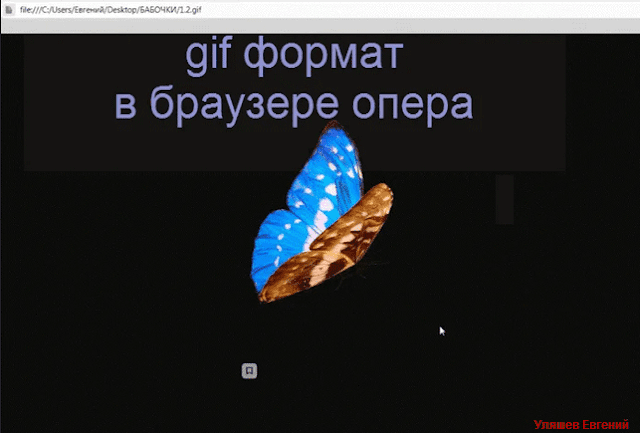 gif-formata-v-brausere