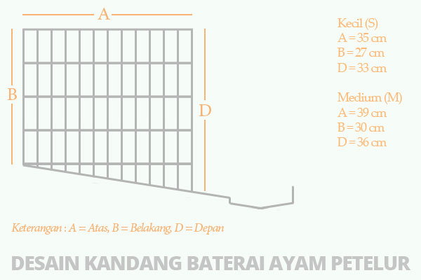  Desain  Kandang  Ayam  Petelur Yang Sederhana Cara Budidaya 