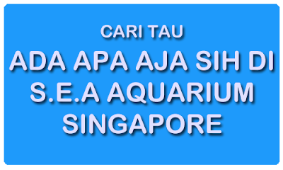 isi dari sea aquarium singapore