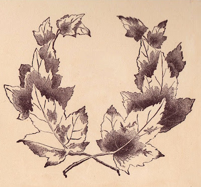 I just love this Maple leaf frame This graphic with it's chocolate and