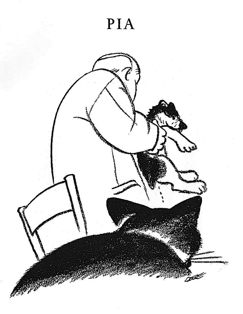 an Eppo Doeve illustration 1956, cat and dog fight