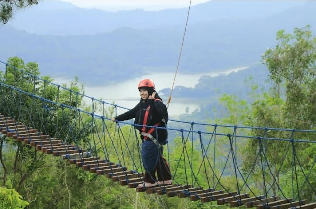 Wisata Kalibiru Kulon Progo Harga Tiket Masuk