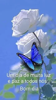 Um dia de muita luz e paz a todos nós.