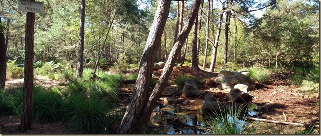 mares Froideau Panorama2 (1024x432)