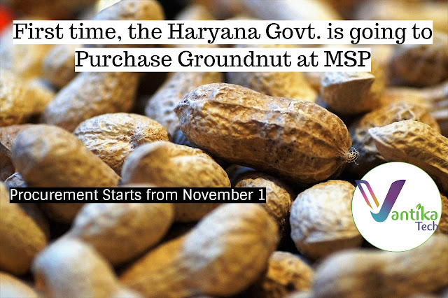 purchase Groundnut at MSP:MSP of Groundnut in Haryana: Mandi names for groundnut