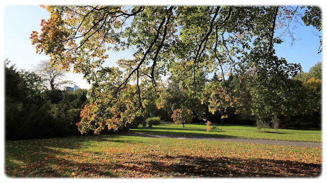 Like nedenfor Tøyen hovedgård i Botanisk hage på Tøyen i Oslo.