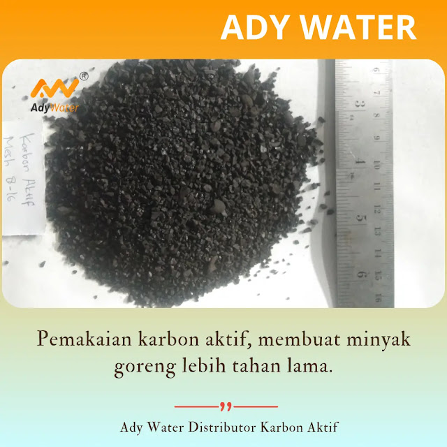 Pengganti Karbon Aktif