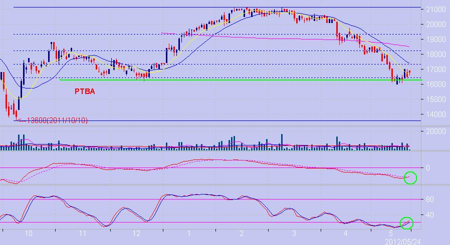 PTBA support Fibo, Reversal?