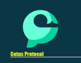 Cetus Protocol, CETUS Coin