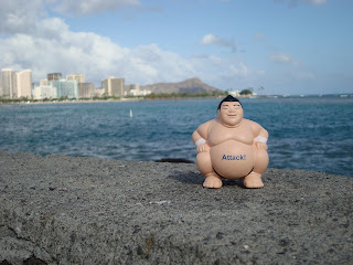 Promotion-Agency-Sumo-in-Honolulu