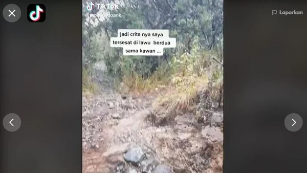 Kata Peneliti Burung soal Jalak yang Viral Tuntun Pendaki Gunung Lawu