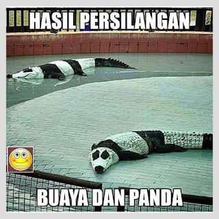 meme lucu buaya dan panda