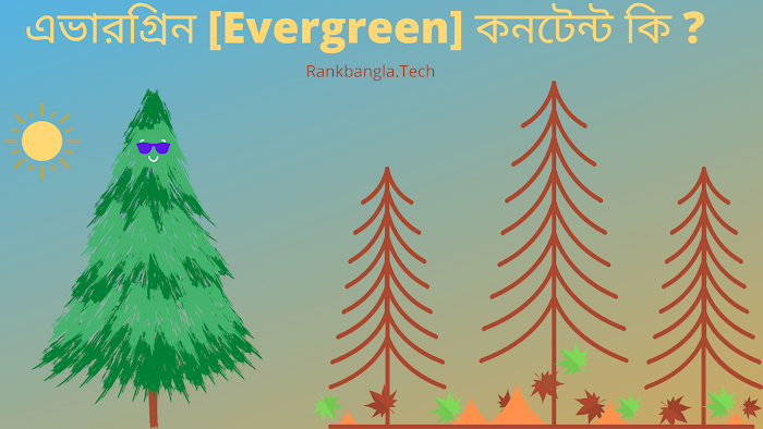 এভারগ্রিন [Evergreen] কনটেন্ট কি ? (কনটেন্ট রাইটিং টিপস) - What Is Evergreen Content In Bangla.