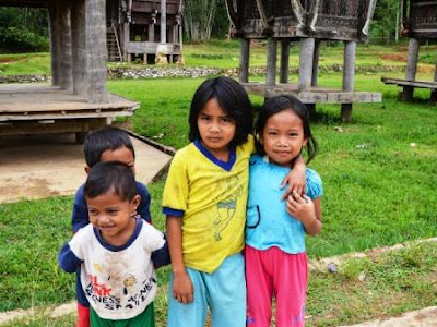 Harmoni Alam dan Budaya di Pelataran Tongkonan, Pedesaan Toraja