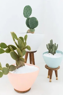 Ideas de jardín de cactus de bricolaje 8