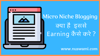 Micro-Niche-Blogging