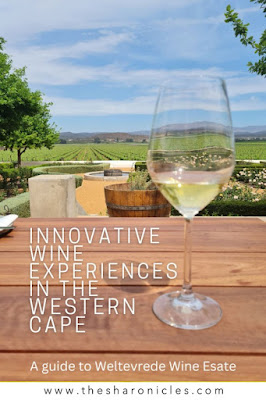 Innovative wine experiences in the Western Cape - Pin