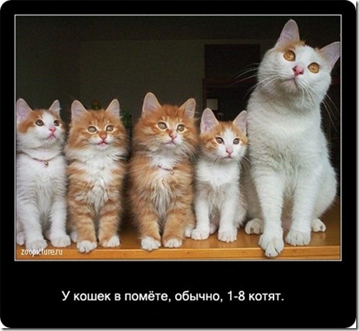 clip_image022