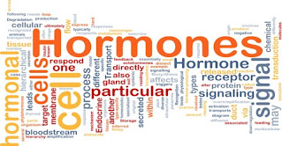 Hormone Imbalance  and What a Girl can Do About It?
