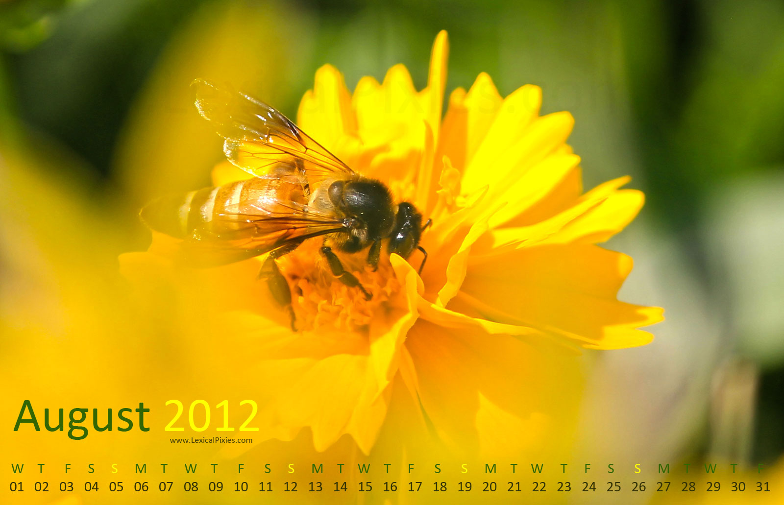 August 2012 Desktop Nature Calendar Wallpaper
