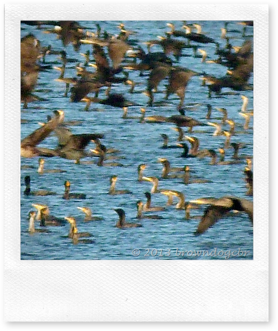 P1180231