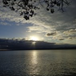 View album